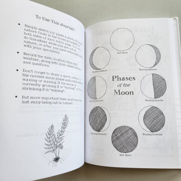 NEW Nature Journal for Kids Activity Book Notebook Hardcover Book Birdwatching - Picture 5 of 7